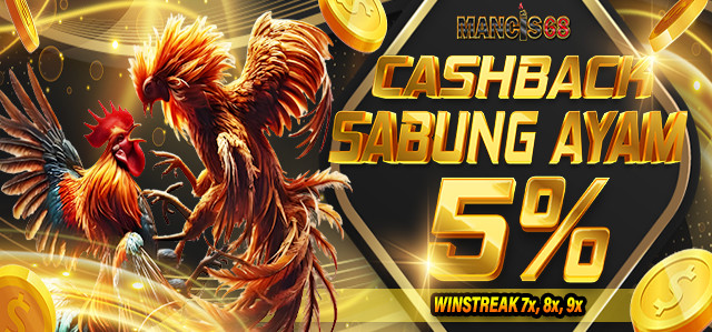 CASHBACK SABUNG AYAM